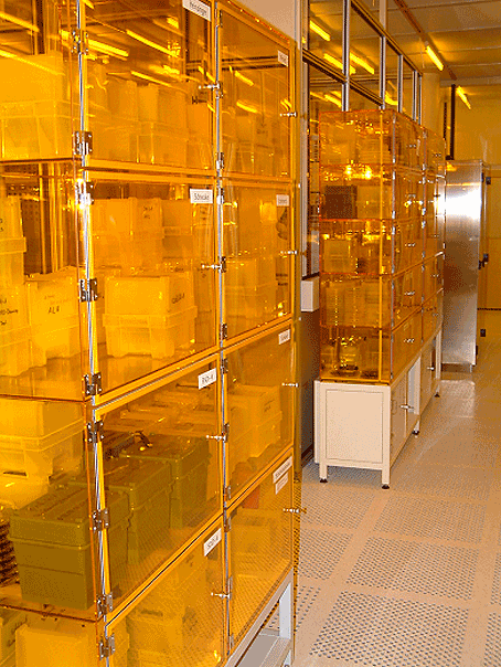 proc-lab-view-8